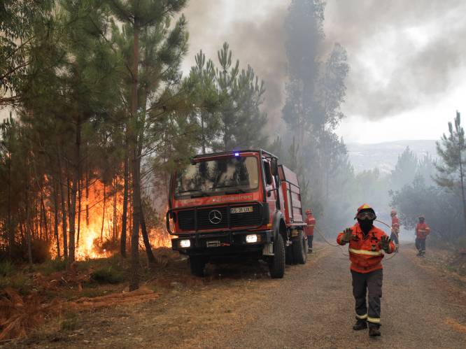Weer bosbranden in centrale regio in Portugal, brandweerman komt om het leven
