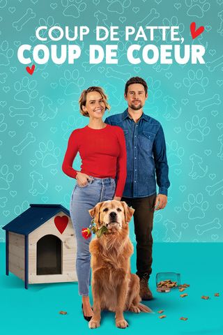 Coup de patte, coup de coeur