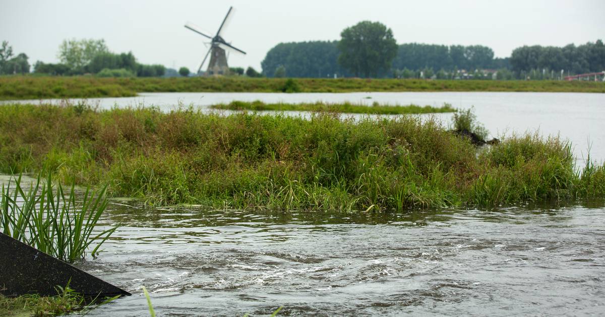 Nieuw waterpeilbesluit voor Maartensdijk, Groenekan en omstreken: inspraakperiode gestart | De Bilt