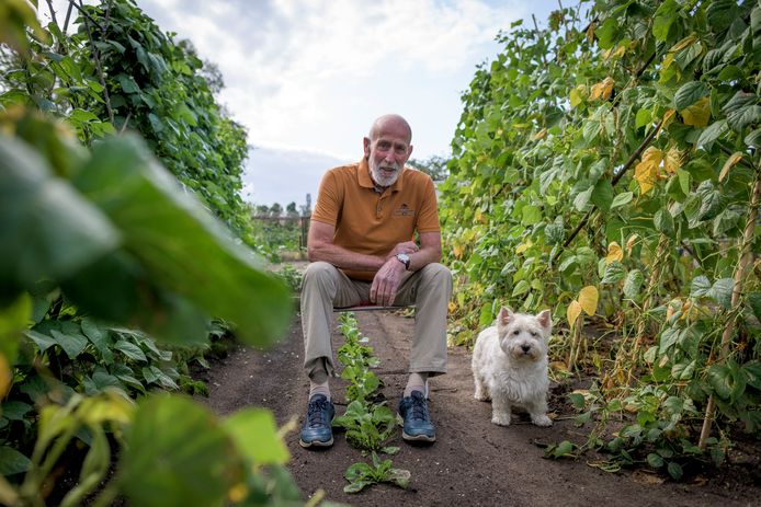 Elke ochtend wandelt Ab Weinreder met hond Mica en werkt daarna in zijn moestuin.