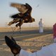 Hoe een valkenjacht en een ontvoering Qatar bijna een miljard kostten