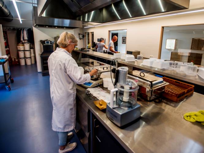 Zelf vega-burgers maken? Nieuw kenniscentrum over plantaardig eten in Woudrichem