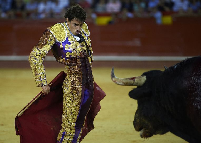 De Mexicaanse stierenvechter Arturo Saldivar tijdens een gevecht in Valencia. Beeld getty