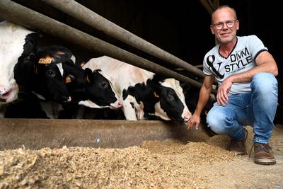 Kalverboer Willem krijgt steun uit Land van Cuijk voor Brabantse BBB: ‘Ik ben geen politicus, daar b