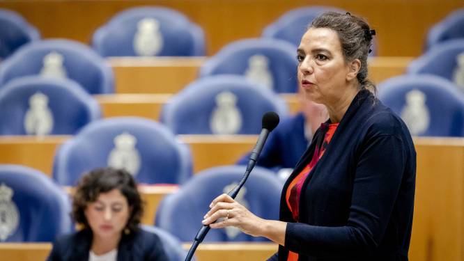 GroenLinkser Diks voldeed aan ‘onduidelijke’ regels Kamer, stort toch deel onkostenvergoeding terug