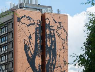 De hand die doet nadenken over ons verleden: kunstwerk van Matthias Schoenaerts voor 21 juli