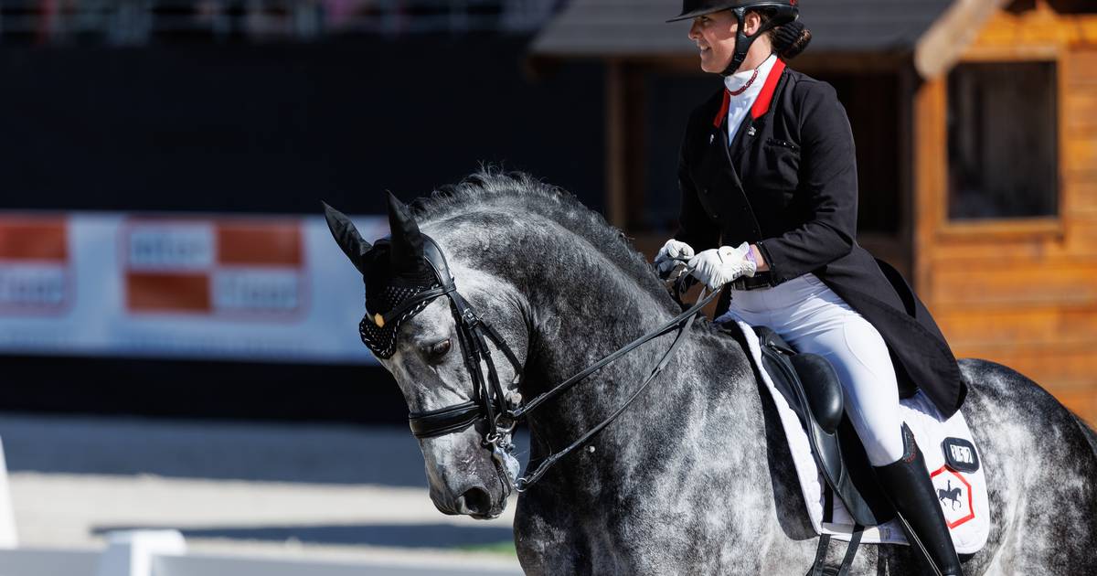 Zweistra viert verjaardag met zevende plaats in Zweden