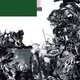 Het debuut van Black Midi is radicaal tegendraads, soms haast onluisterbaar en altijd fris