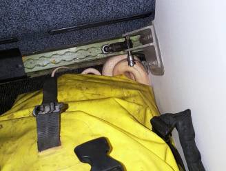 Man ontdekt na landing dat zijn slang ontsnapt is op vliegtuig. Maar dat is intussen weer vertrokken