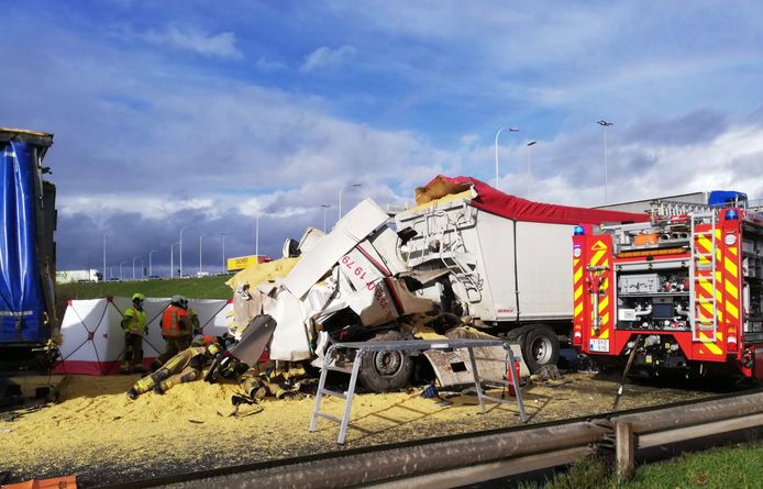Een trucker uit de omgeving van het Franse Arras kwam om het leven bij het ongeval op de E17 in Aalbeke.
