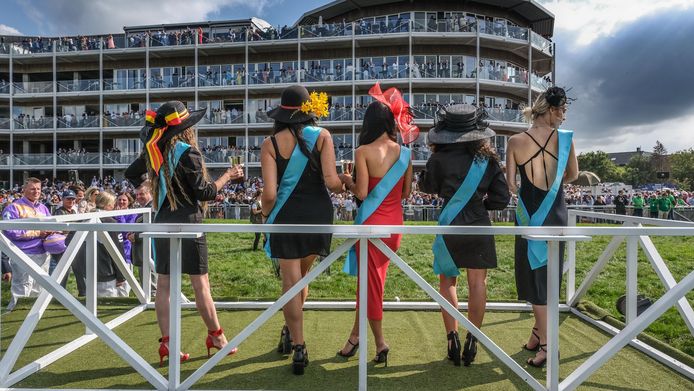 Protserige hoeden en een champagnefluit in de hand, op Waregem Koerse is het haast belangrijker dan de paardenraces zelf.