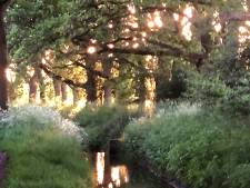 Beestjes in Hengelose beek krioelen, groeien, vervellen en ontpoppen