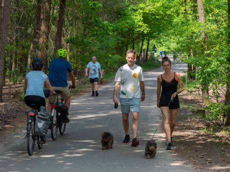 Fietsers, wandelaars en mountainbikers vechten om ruimte op de drukke Veluwse paden