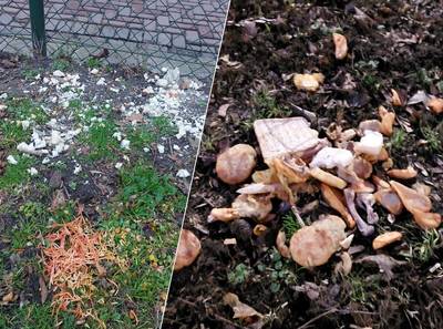 Etensresten op uitlaatveldje gevaarlijk voor honden: ‘En het trekt ongedierte aan, er lopen nu ratte