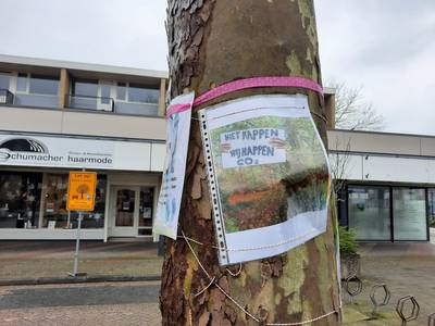 Groen licht van rechtbank, bomenkap tóch uitgesteld: Oosterhout wil eerst met milieuvereniging in gesprek