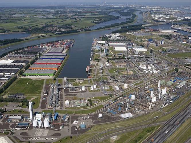 Medewerker overlijdt na bedrijfsongeval in Rotterdamse haven: ‘Een groot drama’