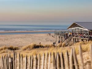 Blijf op de hoogte van het laatste nieuws uit Westland: schrijf je in voor de nieuwsbrief!