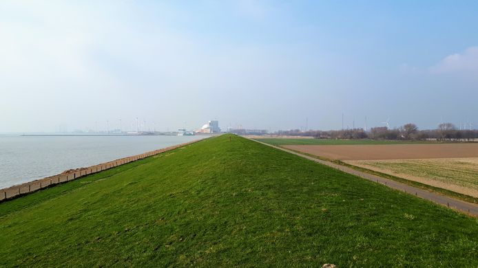 Dijk bij Borssele.
