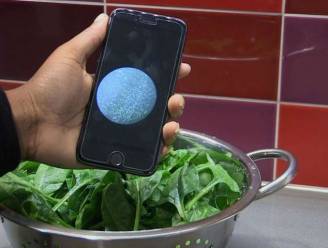 In de maak: app die bacteriën ziet op je eten