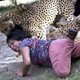 Man fotografeert aanval cheeta's op zijn vrouw