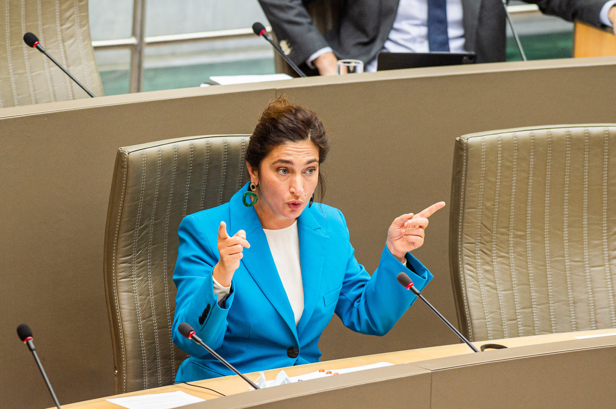 Vlaams klimaatminister Zuhal Demir. Beeld BELGA