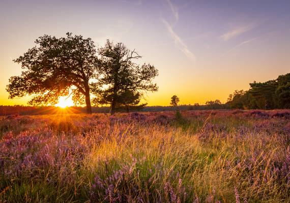 Op déze dag in augustus wordt het weer zonnig