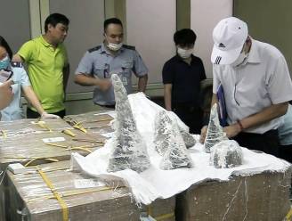 Vietnam onderschept 125 kilo aan hoorns in gips