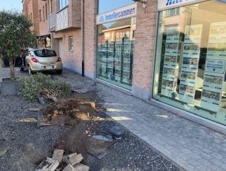 Vrouw wordt onwel achter het stuur en veroorzaakt ongeval in centrum van Putte: “Als bij wonder raakte niemand gewond”