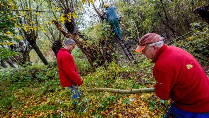 Vrijwilligerswerk verkleint risico op dementie