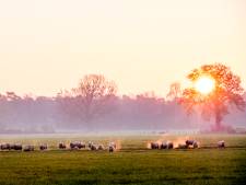 Heanig an! Het trage tempo van Twente