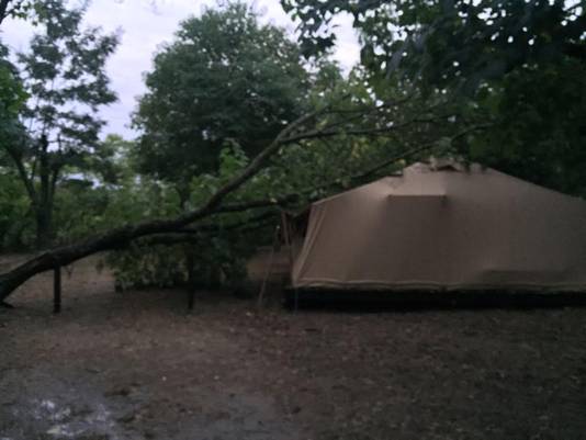 Op de camping van Rilana Altena viel een boom op een tent. 'Gelukkig liep het goed af en raakte niemand gewond'.