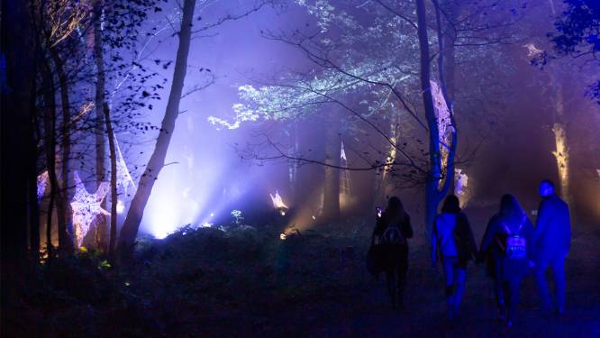 La “Forêt interdite” d’Harry Potter s’installera dès novembre à quelques minutes de Bruxelles