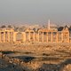 Bijna driehonderd doden bij strijd om Palmyra