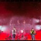 Vier types kleurden dag vier van Dour