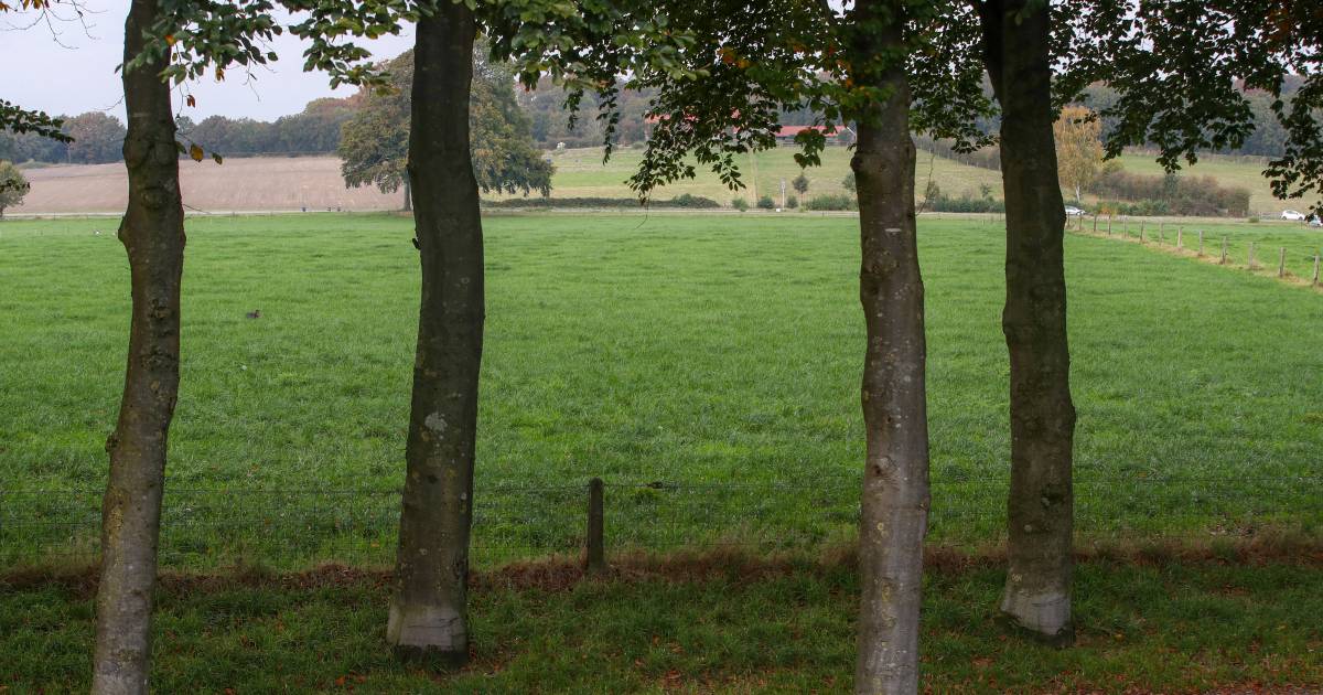 Geen applaus voor bouwplan bij Geitenkamp in gemeenteraad: ‘Dit staat zeker niet op ons verlanglijst