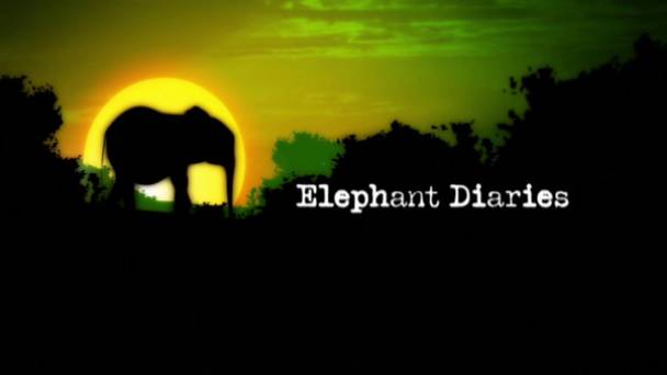 Elephant Diaries