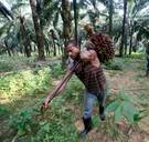 Dit ziet u vanavond op tv en op Netflix