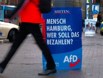 Duitse ingenieur laat zijn hele vermogen van 7 miljoen euro na aan rechts-populistische partij AfD