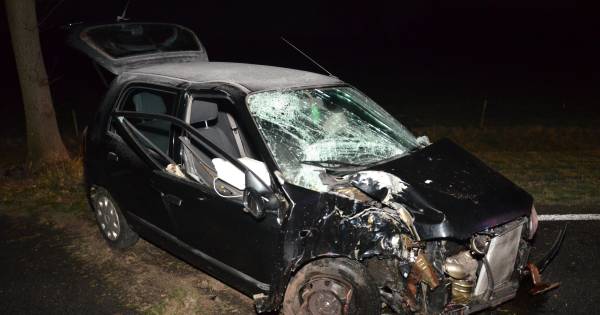 Afgeleid door mobiel: Hengelose (18) rijdt tegen boom | Bronckhorst - De Gelderlander