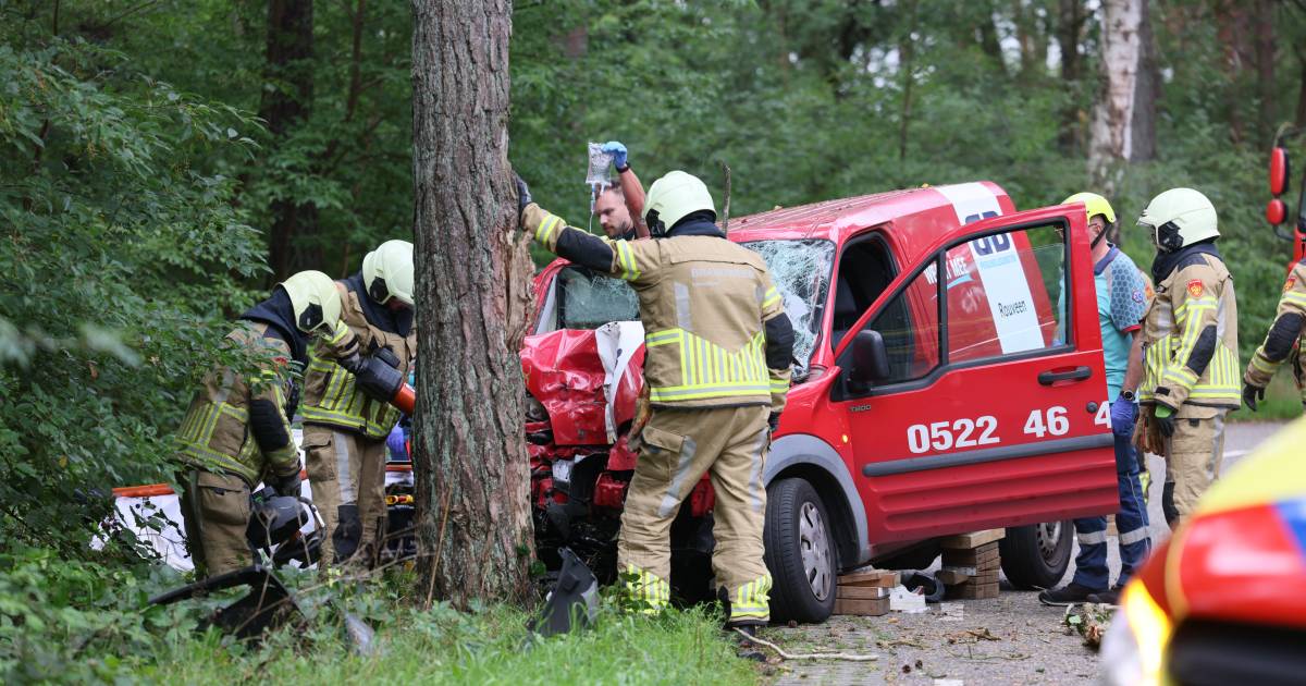Automobilist bekneld in bestelbus na botsing tegen boom in Vilsteren.