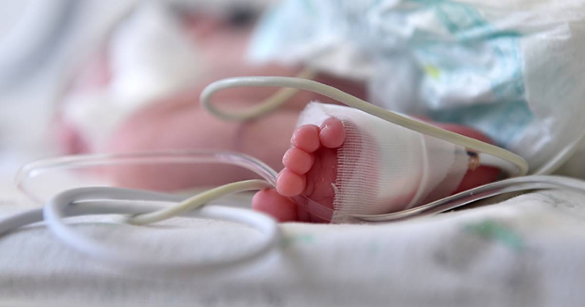 Piccolo miracolo: il figlio più grande del mondo festeggia il suo primo compleanno contro ogni previsione |  una famiglia