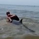 Vrouw die op rug dolfijn klom bij strand Zandvoort is weer vrijgelaten