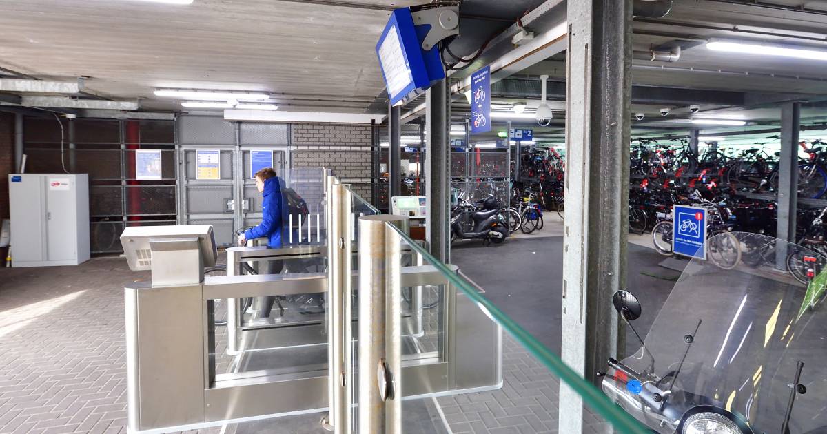 Fietsendieven teisteren bewaakte NSstalling ‘Twee sloten,