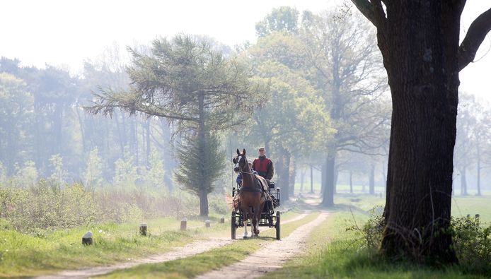 De Huttenweg in Miste is een van de vele zandwegen in Winterswijk.