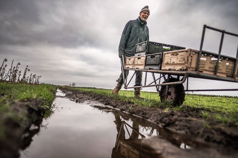 Herenboerderij Aan den Drecht in Leimuiden. Beeld Joris van Gennip