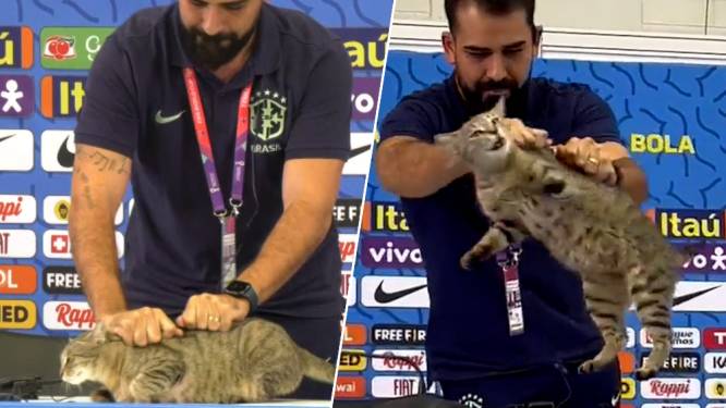 Perschef Brazilië oogst bakken kritiek nadat hij kat hardhandig wegwerkt tijdens persbabbel: “Slecht mens”