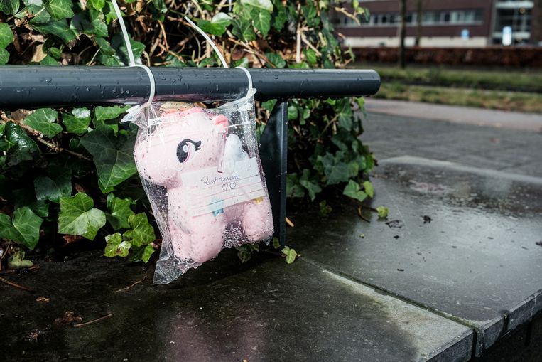 null Beeld Jakob van Vliet