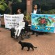 Mauritius hijst zijn vlag op Britse Chagos-eilandengroep om claim te onderstrepen