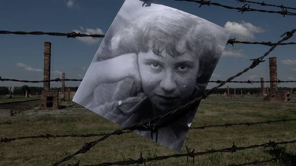 De boeddhistische blik: Het denkende hart van Etty Hillesum