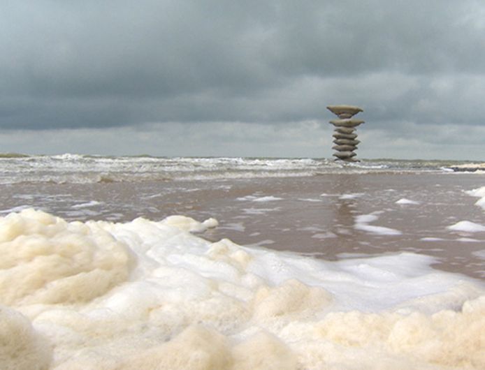 De zee staat in bloei